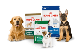 Royal Canine