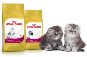 Royal canine pre mačky